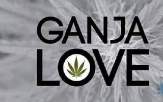 cannabis  gallery 1