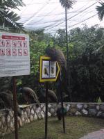 "Парк птиц" (Малайзия)