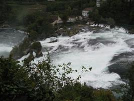 Rhine falls 2008