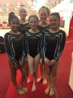 Gymnastics girls 4