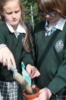 Truro high school for girls primary ages